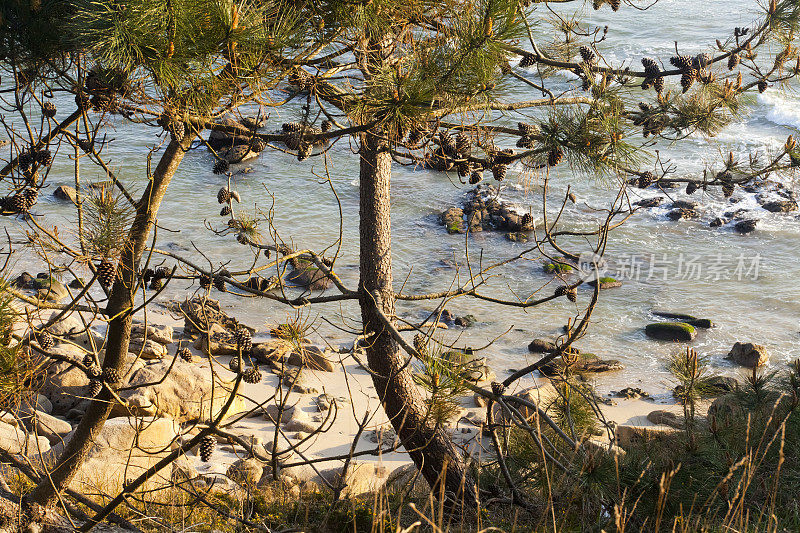 西班牙加利西亚，蓬特维德拉省，SanXenxo, rias Baixas, Lanzada beach detail。